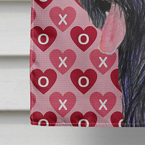 Drapeau Briard Hearts idée cadeau romantique Saint-Valentin