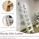 Dailify B0FP8JVLMJ lato 4