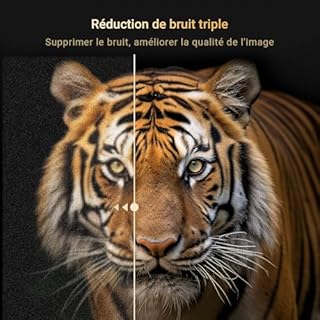 RCA E32 TV 32 Pouces Télévision 80cm HD sans Bord avec Dolby Audio Triple Tuner (DVB-T/T2-C-S/S2) HDMI USB CI+ y Compris Mode Hôtel 2024 [Classe énergétique F]