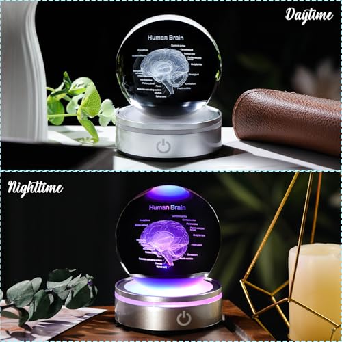 Image of Arikyrist Crystal 3D Human Brain Figurine 3.15 in. Ball Gifts for Him Her | Human Brain Anatomical Mini Model, Colorful Light Base, for Neurologist Doctor Pharmacist, Graduation Gifts, Medical Students