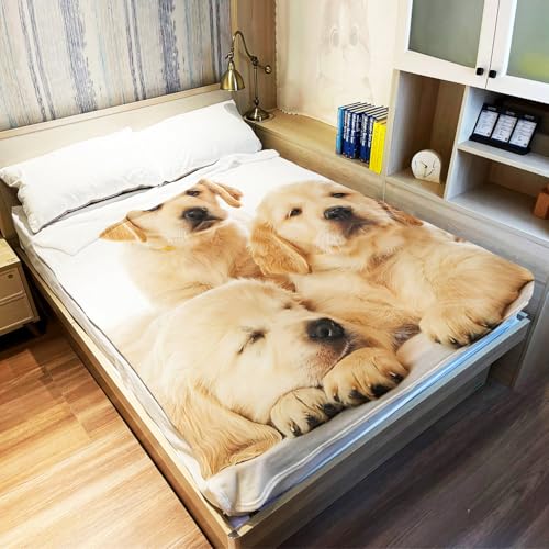 YISUMEI Decke 150x200 cm Kuscheldecken Sanft Flanell Weich Fleecedecke Bettüberwurf Golden Retriever Welpen
