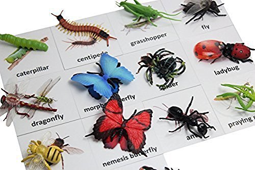 Curious Minds Busy Bags Montessori Insect Animal Match Cards and Figurines. Nomenclature Science Work