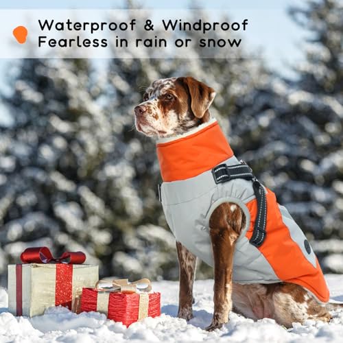 Hundemantel Winter, Winterjacke Hund mit Geschirr Hunderegenmantel Winter Hundepullover Fleece Hundemantel Wasserdicht Warm(Orange, M)