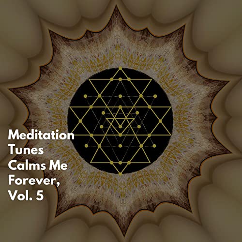 Meditation Tunes Calms Me Forever, Vol. 5 de VARIOUS ARTISTS no Amazon ...
