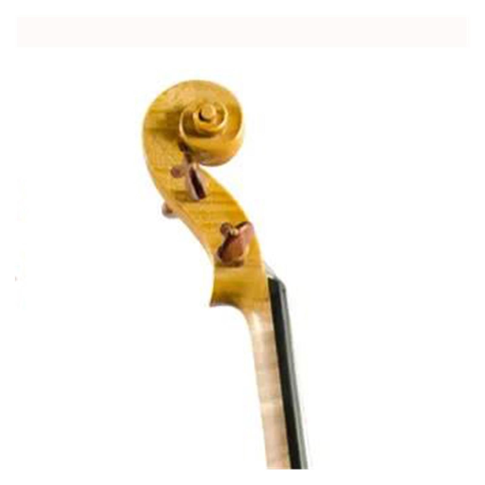 Praktische Violine 4/4 Violine Palisander