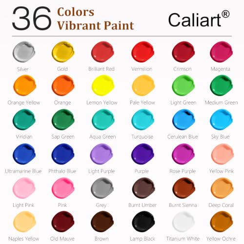 Image of Caliart 36 Colors Acrylic Paint Set with 12 Brushes | Craft Painting kit for Adults Artists Beginners, Rich Pigment Non-toxic, Canvas Wood Rock Pumpkin Ceramic Art Supplies Paint