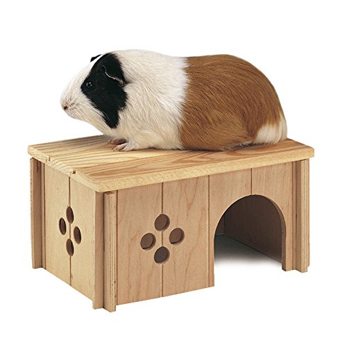 Ferplast Maison en Bois pour Lapins, Cochons d’Inde et Hamsters Sin 4645, Bois Certifié FSC®, Fenêtre de Ventilation, Montage sans Outils, 26 x 17,3 x H...