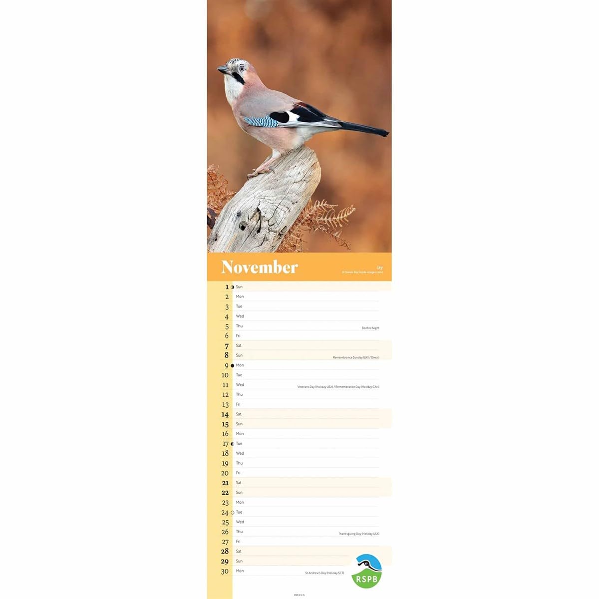 2021 Eco-Friendly Calendar&Diary On Behance - View #2