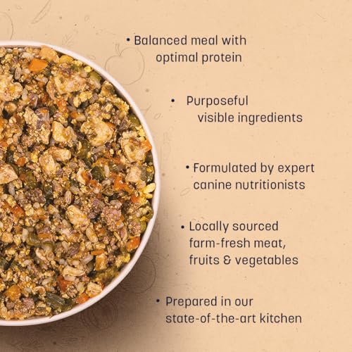 Image of Sara's Wholesome by HUFT Classic Chicken & Brown Rice Dog Food - 300 gm (Pack of 14) | Value Pack | Wet Gravy Meal for All Breeds & Life Stages | No Artificial Flavours, Preservative-Free