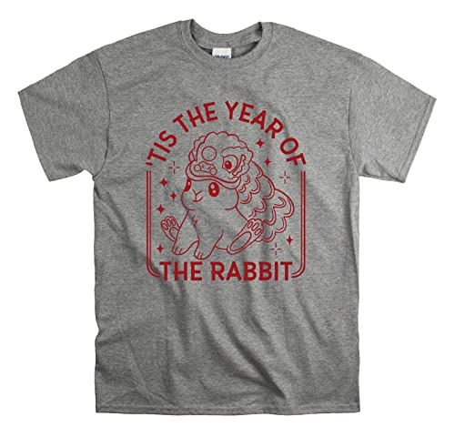 T-shirt de l'Année du Lapin 2023 résistant gris XL anti-déformation
