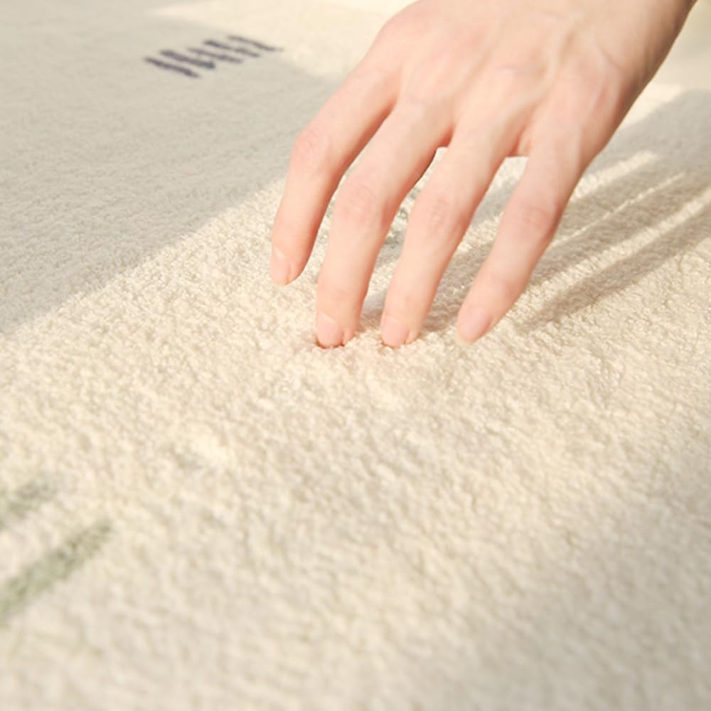 Large Area Rugs for Bedroom Modern Style Living Room Decoration Carpet Fluffy Soft Plush Floor Mat Home Thick Washable Study,J,200X300cm