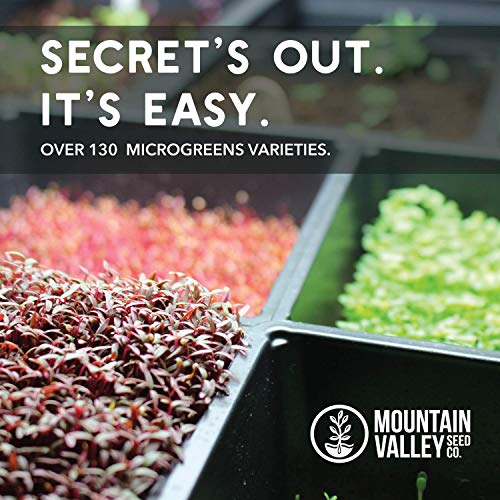 image for Mountain Valley Seed Company Radish Sprouting Seed - Red Arrow Variety
