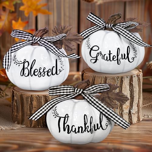 TURNMEON Fall Decorations-Set of 3 Thankful Grateful Blessed Resin Artificial Pumpkins Decor, Fall Pumpkin Centerpiece for Autumn Harvest Thanksgiving Table Decorations Indoor Home, White
