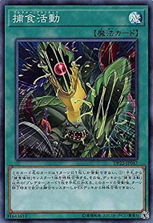 捕食植物 デッキレシピ 回し方 魅力を紹介 遊戯王マスターラボ