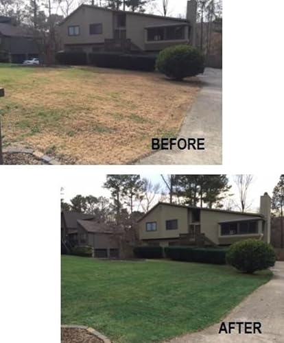 Miniatura 6 de EnviroColor 4EverGreen - Pintura para césped y césped  1 galón trata 4000 pies cuadrados de pintura de fuerza máxima, espray de césped verde para