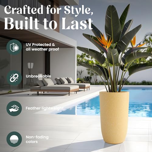 Image of YUCCABE ITALIA FOXB TPC 14 INCH Pots for Plants Highly Durable Polymers Lightweight Indoor Outdoor Plant Pots, Flower Pot Gamla Tree Planter Container Planters for Living Room, Balcony, Garden