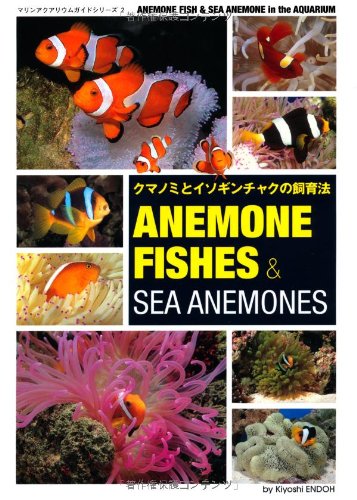 クマノミとイソギンチャクの飼育法 Anemonefishes Sea Anemone マリンアクアリウムガイドシリーズ 円藤 清 本 通販 Amazon