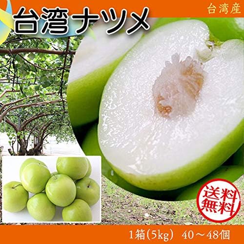 Amazon 台湾ナツメ 棗 5kg 台湾産 1箱 約40 48個入り 3月初旬出荷受付分 生鮮 希少品 台湾アップル 蜜棗インドナツメ Ziziphus 台灣爆漿蜜棗 ギフト広場 果物 通販 Amazon 台湾ナツメ 棗 5kg 台湾産 1箱 約40 48個入り 3月初旬出荷受付分 生鮮 希少品 台湾アップル 蜜棗インドナツメ Ziziphus 台灣爆漿蜜棗 ギフト広場 果物 通販