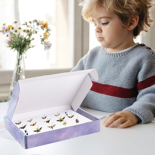 Image of 4 PCS Insect Pinning Boxes for Entomology, Suitable for Project Bugs Collection and Specimen Displays, 7.9 x 5.5 x 1.6 Inch