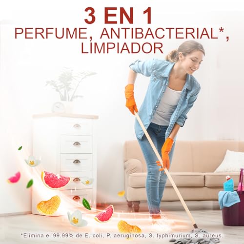 El Mejor Listado de Fabuloso mar fresco - los más vendidos. 16 Imagen adicional