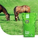 Grassamen Pferdeweide - Elite Mix | 1 kg - 100m2 | Universalmischung für Pferdeweiden | Hohe Trittfestigkeit | Neuanlage und Nachsaat | Schmackhaft und Zuckerarm | Für alle Böden geeignet | MRS Seeds
