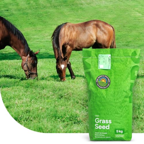 MRS Horse Elite Mix: Mélange Prairie Universelle - 5 kg pour 500 m² - Idéal pour les chevaux et le petit bétail - Convient aux pâtures et aux grands...