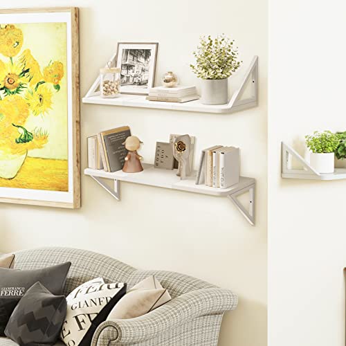 Marty White Floating Shelves Wall Mounted Shelves, 24 Inch Set Of 2 Wood Wall Shelves Decor Hanging Book Shelf Heavy Duty For Bedroom Bathroom Living Room Office Kitchen Laundry Room #TOP6