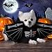 HAIJIYUNTU Hundekostüm Halloween, Halloween Kostüm Hund, Hunde Halloweens Kostüm, Halloweens Hundekostüm, Skelett Haustier Kostüm Für Haustier Party, Cosplay