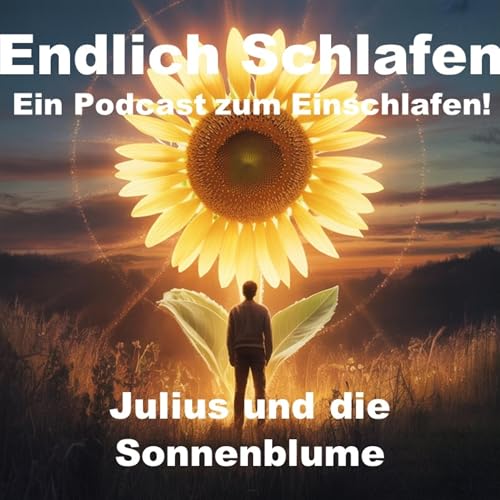 Julius und die Sonnenblume