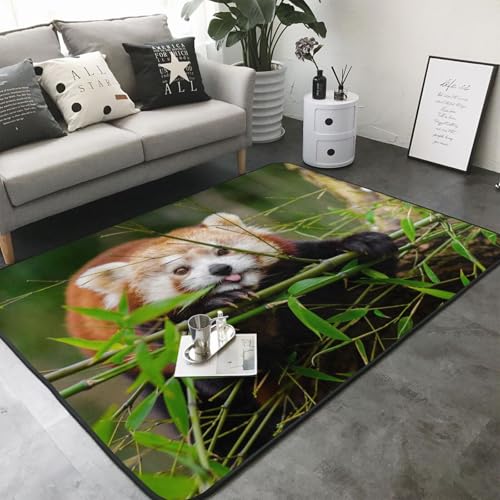 Tapis lavable et antidérapant pour chambre d'enfant sans taches