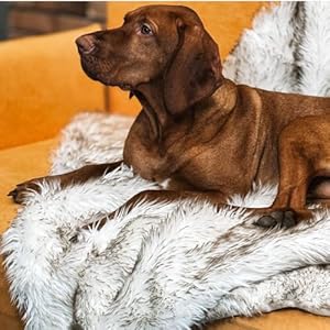   Waterproof-Faux-Fur-Dog-Blanket-Couch-Cover-for-Dogs-Plush-Throw-for-Sleeping-Whelping-and-Comfort-Sofa-Bed-Car-Furniture-Protection-with-Soft-Stain-Resistant-Surface-Machine-Washable-50x60