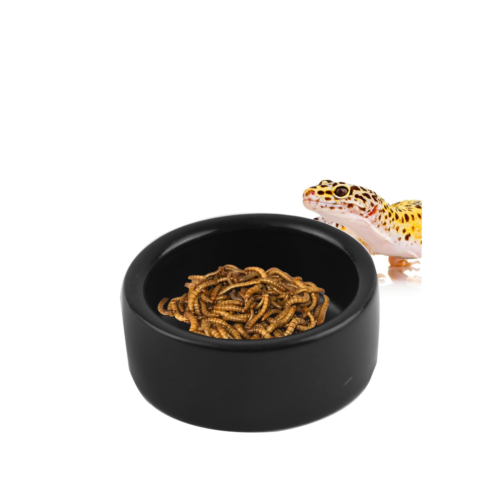 OMEM Black Ceramic Reptile Food and Water Dish Anti Escape Bowl for Bearded Dragons Lizards Geckos and Leopards (Small)