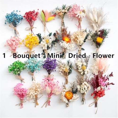 Ramo de flores secas 12 cm para decoración miniatura 3
