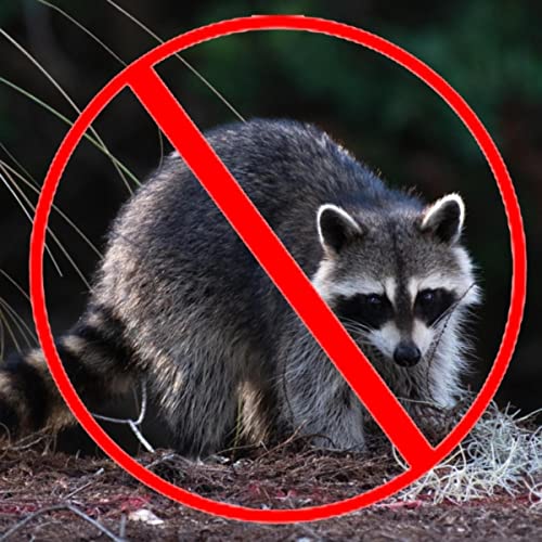 List of Top Ten Best Raccoon Repellents [Top Picks 2023 Reviews]