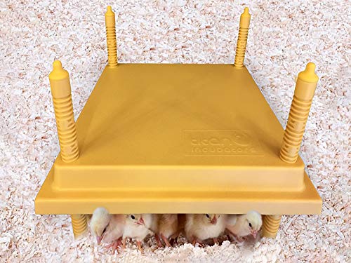 Brooder Hen/Gallina Criadora - Reemplazo de lámpara de Calor - 30x30cm Cover