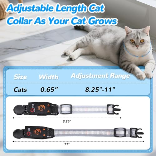 2X Collar para gatos iluminado LED impermeable recargable con mando remoto 3