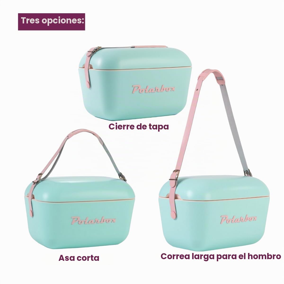 Polarbox - Refrigerador clásico Retro Vintage para Camping, pícnic, Playa, 20 l, Sorbet/Rosa