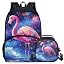 Starry Sky Flamingo Ma