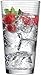 Circleware Theory Drinking Glasses, Set of 4, 17 Ounce