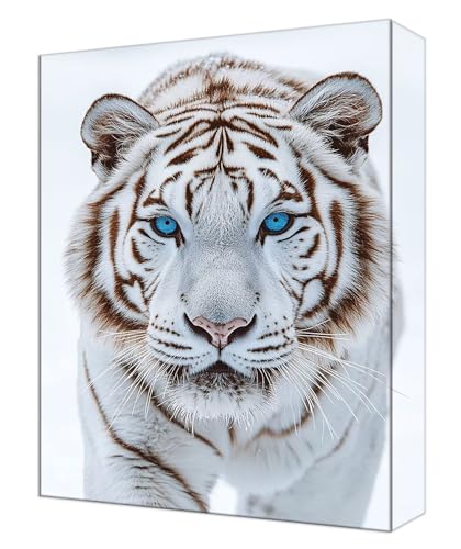 Coloriage par numero art peintures kit tigre et peinture acrylique pour loisirs créatifs