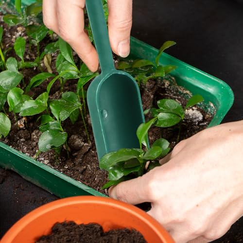 Set de 8 Piezas Herramientas para Plantar Semillas miniatura 7