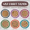 Weruva Classic Stews Cat Food, Spoil Me Stewpid! Variety Pack, 3oz Can (Pack of 18)