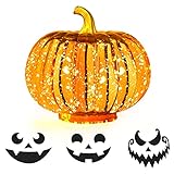 Rocinha Mercury Glass Pumpkin Light Up Pumpkins with Timer, 5.5 Inch Halloween Pumpkin Decorations...