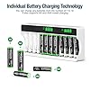 HiQuick 12 Slots LCD Battery Charger for AA & AAA Rechargeable Batteries, Type C and Micro USB Input(5V 2A), Battery Detection Technology #1