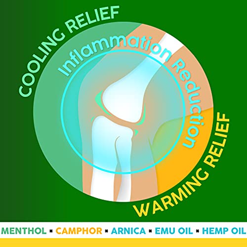 Ebanel Menthol Arnica Gel Pain Relief Cream with Hemp Oil, Emu Oil, MSM, Camphor, Vitamin B6, Boswellia, Bruise Cream Muscle Rub for Arthritis, Strains, Sprains, Joint Pain - Image 3