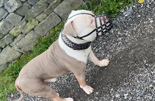 Maulkorb aus echtem Leder für American Bully, Bully XL und andere ähnliche Schnauzen (braunes Leder, AB2)