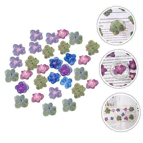 Happyyami 30pcs Flores Secas DIY para Manualidades miniatura 7