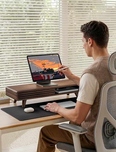 Tinamo 24" Wooden Monitor Stand Riser with Storage Organizer, Walnut Color