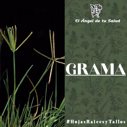 El &Aacute;ngel de tu Salud - Grama**