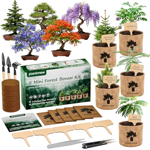 Bonsai Starter Kit for Adults – Complete Indoor Tree Growing Set with Jacaranda Seeds, Tools & Planter | DIY Gardening Hobby Kits for Plant Lovers, Unique Easter Gifts for Men & Women